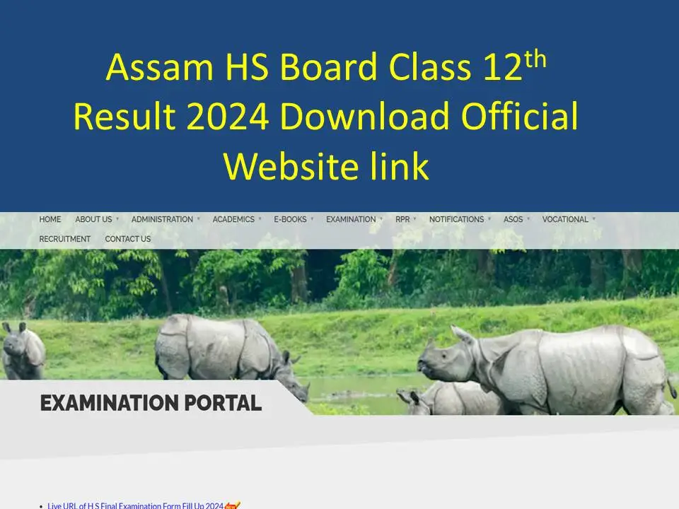 Assam HS 12th Result 2024